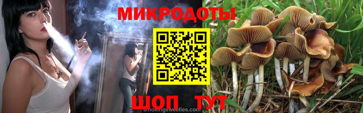 Сухой Лог  хочу   Вход с VPN  Псилоцибиновые грибы мицелий  Галлюциногенные грибы мухоморы 